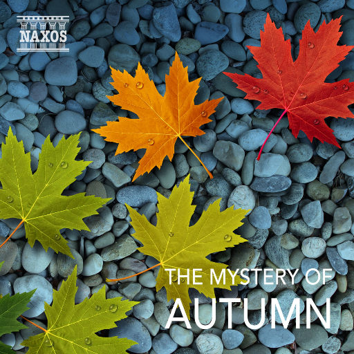 主播户外勾塔视频观看方法
